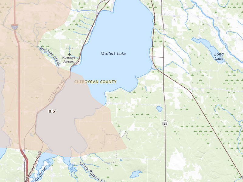 Radar-estimated hail-size map of the storm over Indian River, MI on Jun 29, 2026