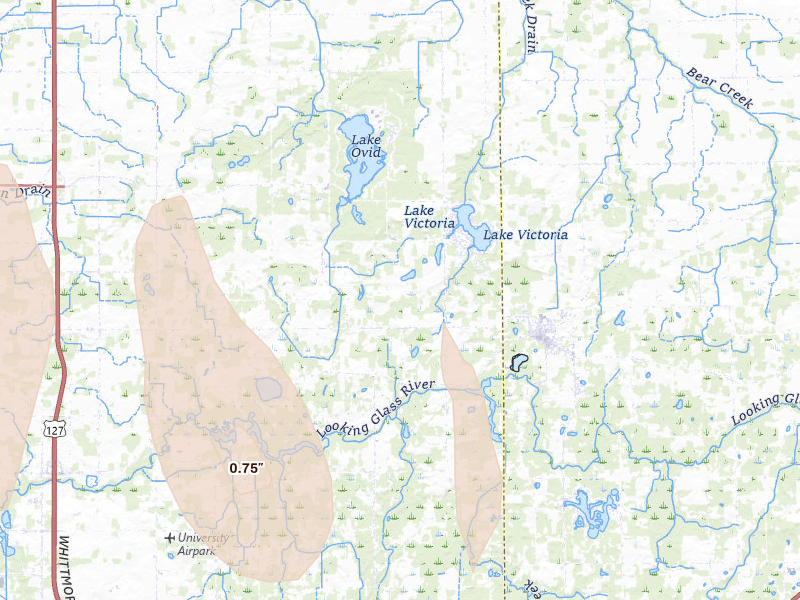 Radar-estimated hail-size map of the storm over Laingsburg, MI on May 15, 2026