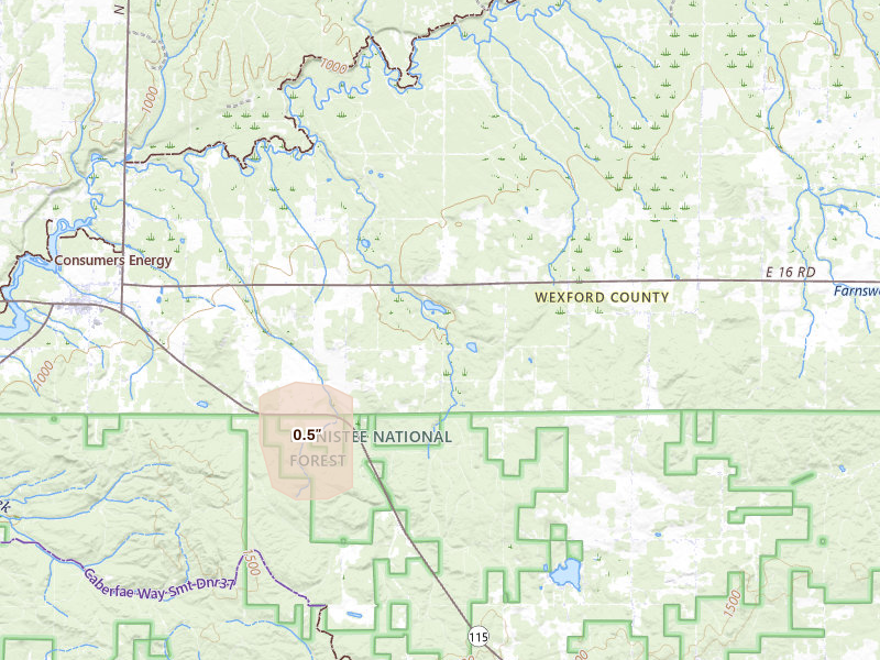 Radar-estimated hail-size map of the storm over Mesick, MI on Mar 28, 2026
