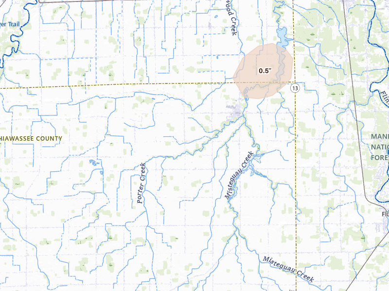 Radar-estimated hail-size map of the storm over New Lothrop, MI on Mar 6, 2026