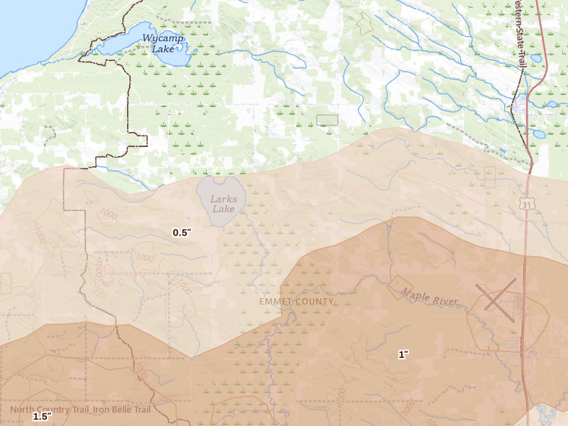 Radar-estimated hail-size map of the storm over Pellston, MI on Jun 29, 2026