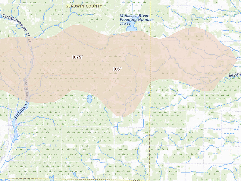 Radar-estimated hail-size map of the storm over Rhodes, MI on Mar 30, 2026
