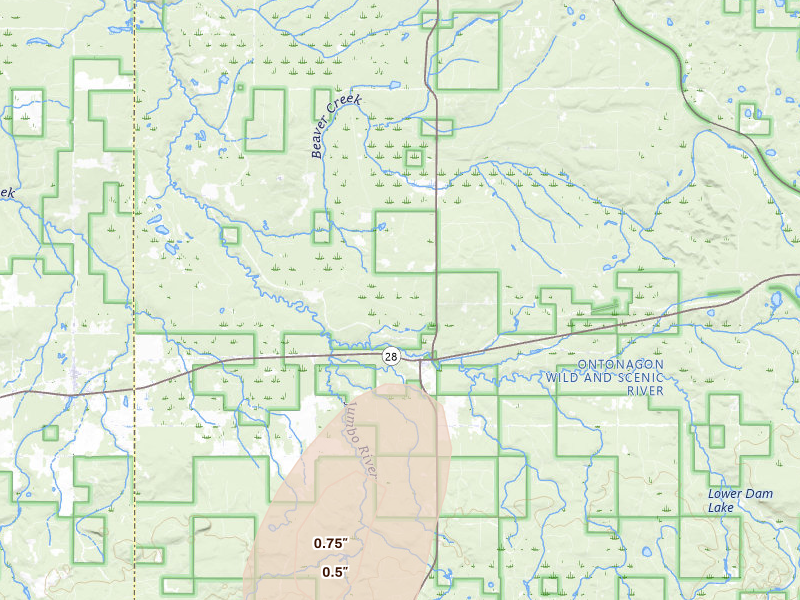 Radar-estimated hail-size map of the storm over Trout Creek, MI on Jul 3, 2026