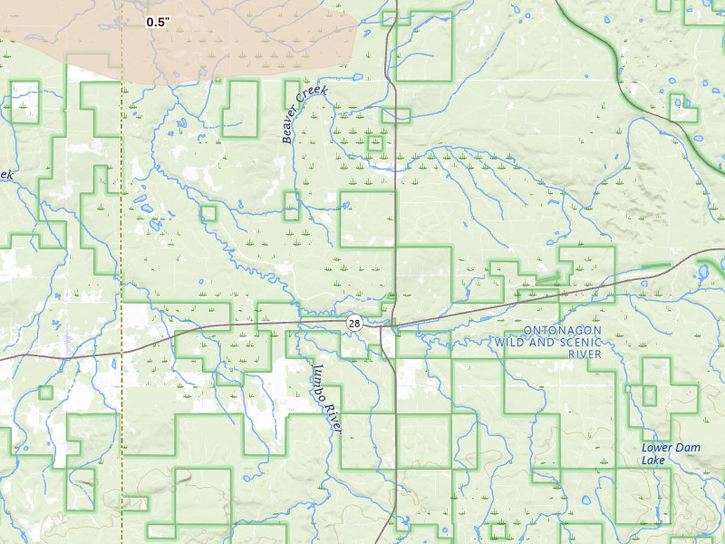 Radar-estimated hail-size map of the storm over Trout Creek, MI on Jul 20, 2026