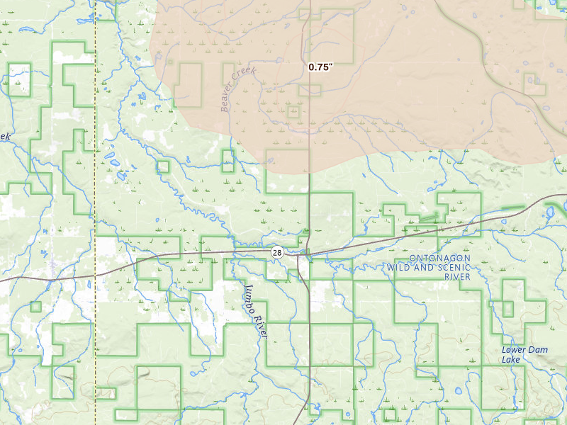 Radar-estimated hail-size map of the storm over Trout Creek, MI on Aug 7, 2026
