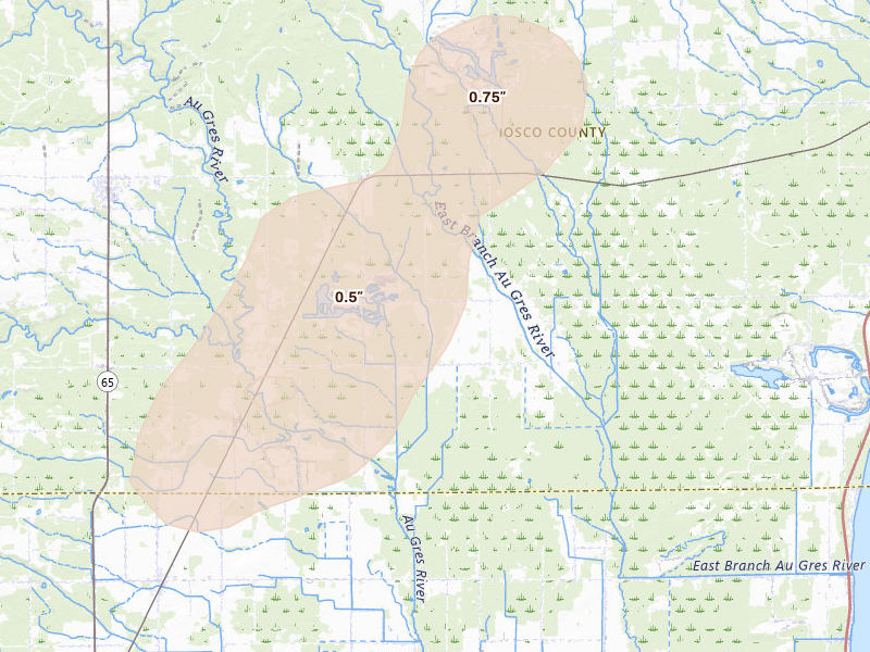 Radar-estimated hail-size map of the storm over Turner, MI on Apr 13, 2026