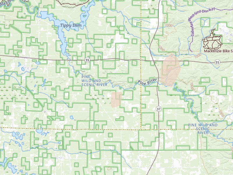 Radar-estimated hail-size map of the storm over Wellston, MI