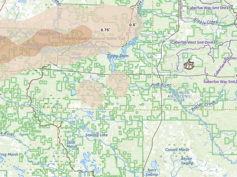 Radar-estimated hail-size map of the storm over Wellston, MI on Jul 1, 2026