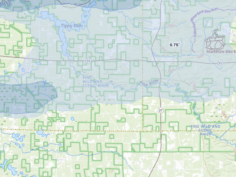 NEXRAD radar-signature map of the hail over Wellston, MI