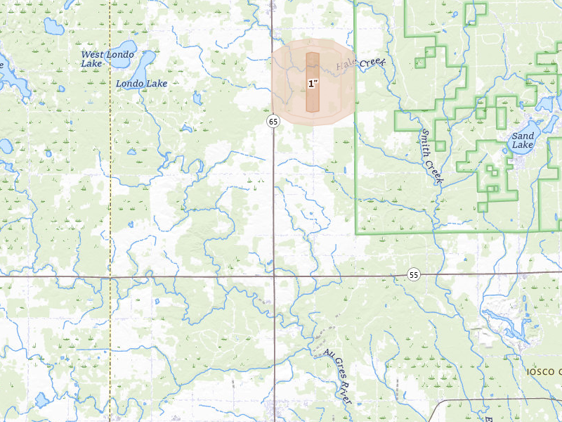 Radar-estimated hail-size map of the storm over Whittemore, MI on Jul 25, 2026
