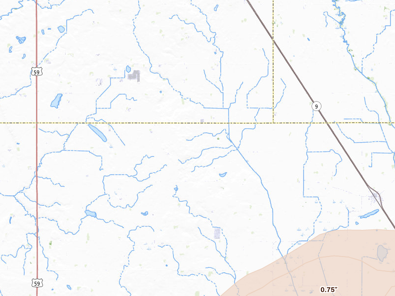 Radar-estimated hail-size map of the storm over Danvers, MN on Jun 4, 2026