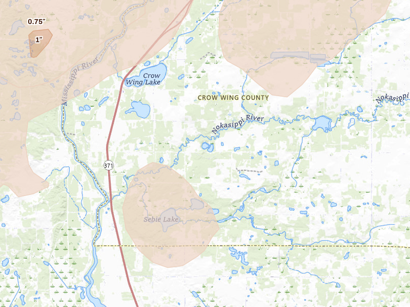 Radar-estimated hail-size map of the storm over Fort Ripley, MN on Jun 29, 2026
