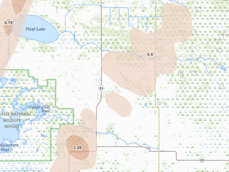 Radar-estimated hail-size map of the storm over Gatzke, MN on Jun 10, 2026