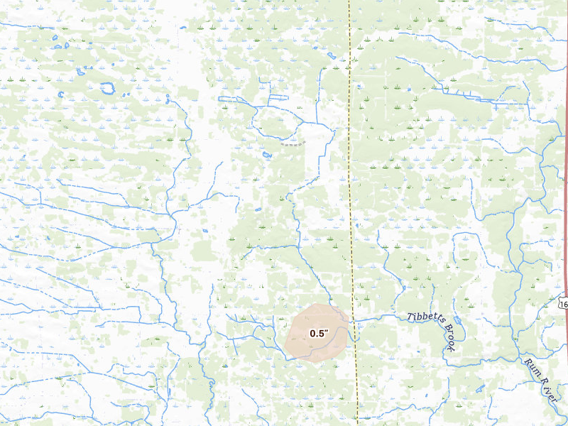 Radar-estimated hail-size map of the storm over Hillman, MN on Jun 4, 2026