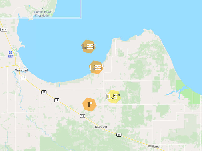 Hail map of Roosevelt, MN on Jul 6, 2026, hail up to 1.25"