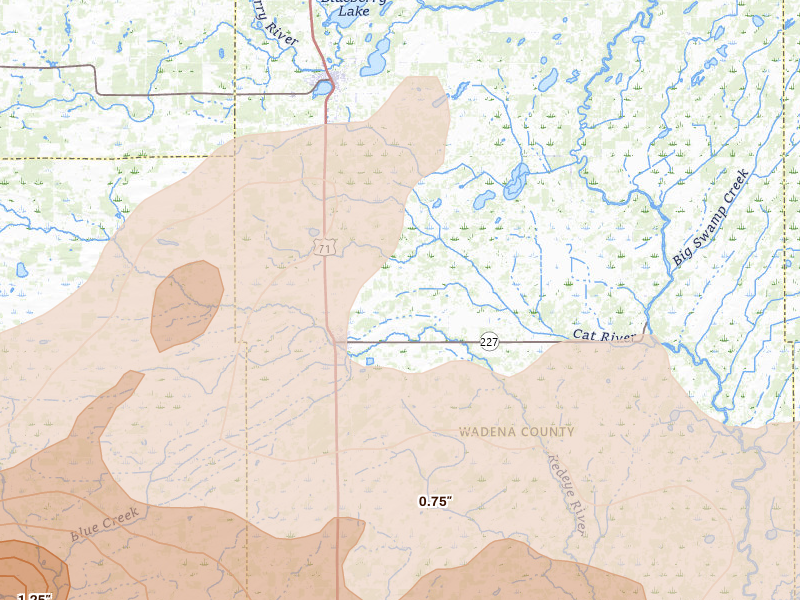 Radar-estimated hail-size map of the storm over Sebeka, MN on Jun 29, 2026