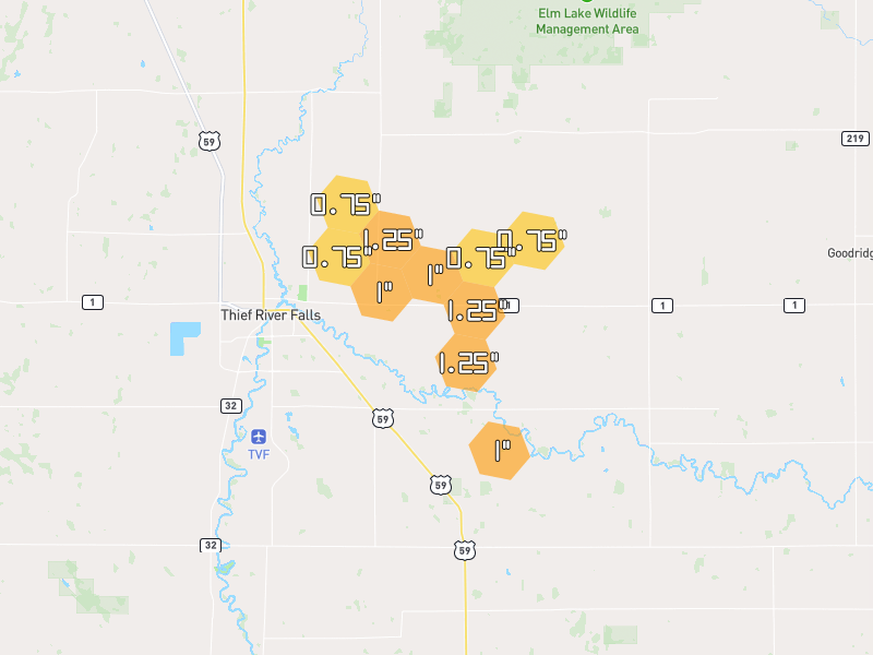 Hail map of Thief River Falls, MN on Jul 4, 2026, hail up to 1.25"