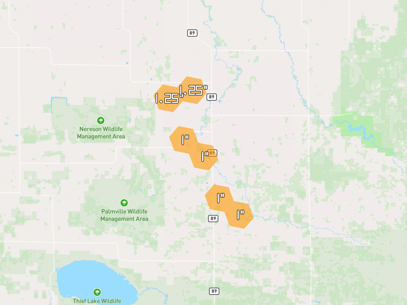 Hail map of Wannaska, MN on Jul 24, 2026, hail up to 1.25"