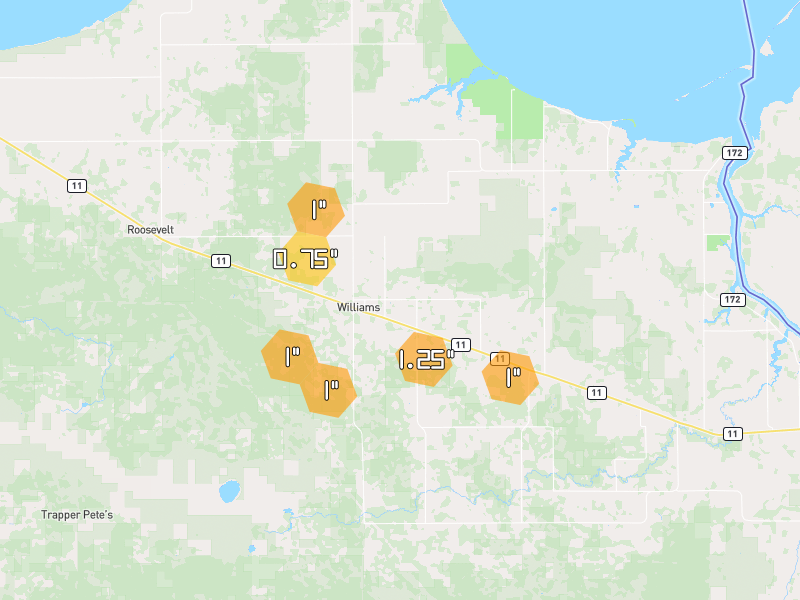 Hail map of Williams, MN on Jul 6, 2026, hail up to 1.25"