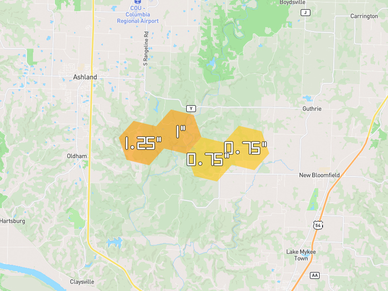 Hail map of New Bloomfield, MO on Jun 1, 2026, hail up to 1.25"