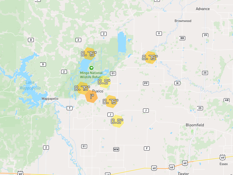 Hail map of Puxico, MO on Jul 4, 2026, hail up to 1"