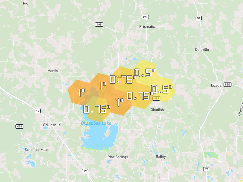 Hail map of Bailey, MS on Jul 9, 2026, hail up to 1"