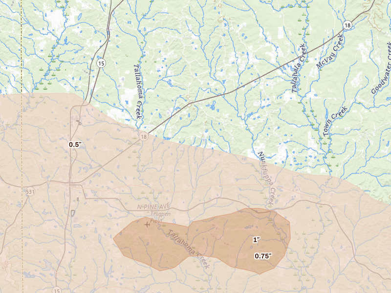 Radar-estimated hail-size map of the storm over Bay Springs, MS on Apr 29, 2026