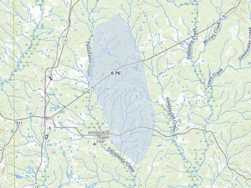 NEXRAD radar-signature map of the hail over Bay Springs, MS