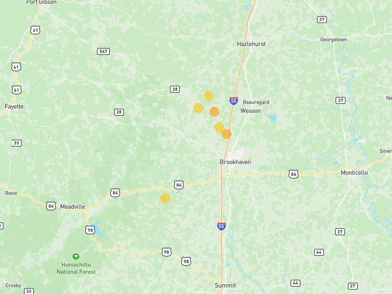 Hail map of Brookhaven, MS on Jul 1, 2026, hail up to 1.25"