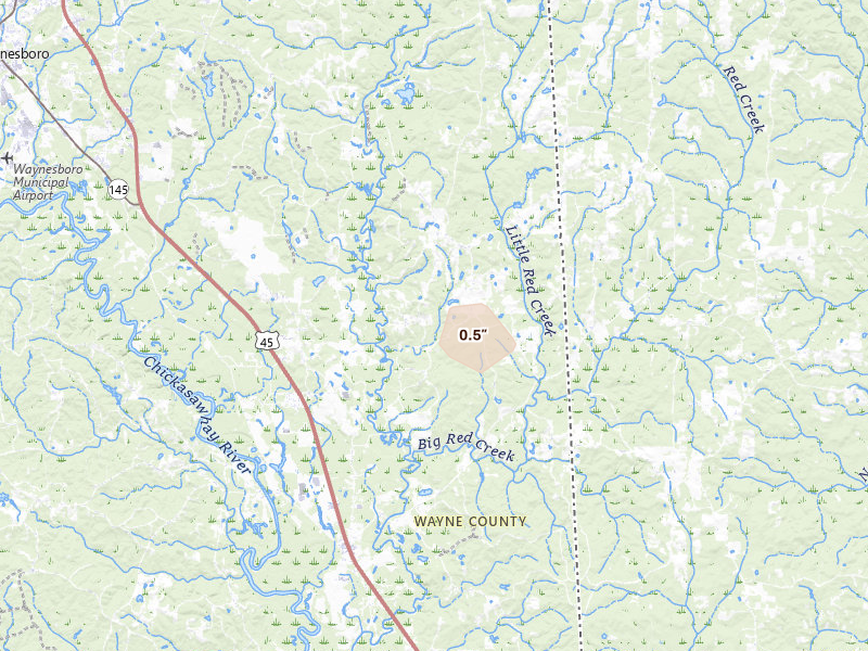 Radar-estimated hail-size map of the storm over Buckatunna, MS on Aug 17, 2026