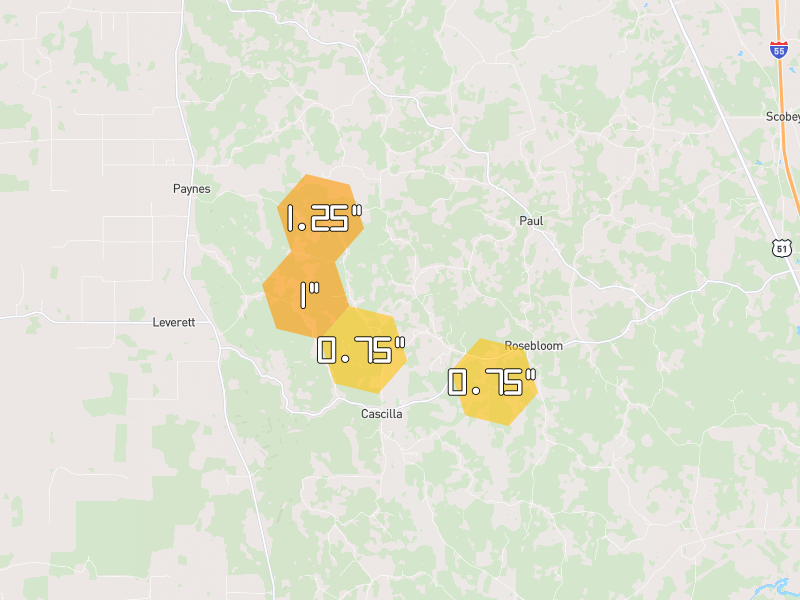Hail map of Cascilla, MS on Jun 2, 2026, hail up to 1.25"