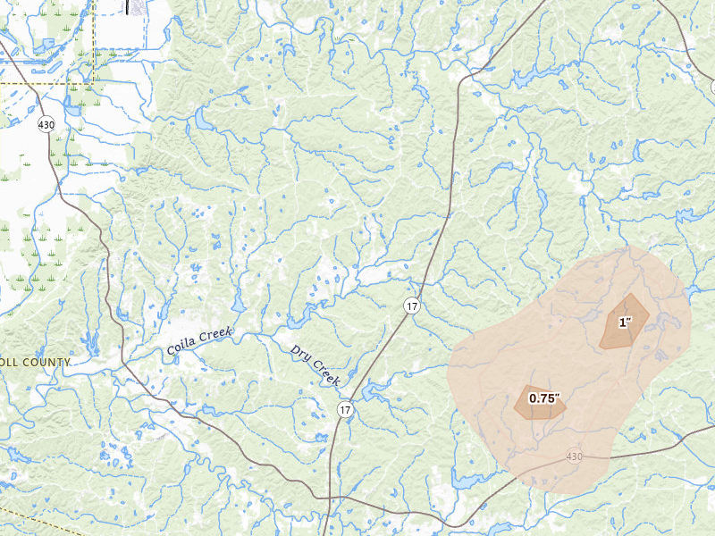 Radar-estimated hail-size map of the storm over Coila, MS on Jul 29, 2026