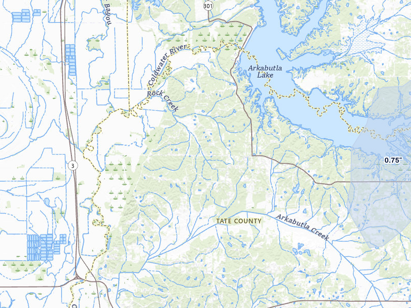 NEXRAD radar-signature map of the hail over Coldwater, MS
