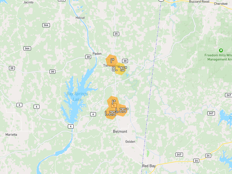 Hail map of Dennis, MS on Jun 1, 2026, hail up to 1.25"