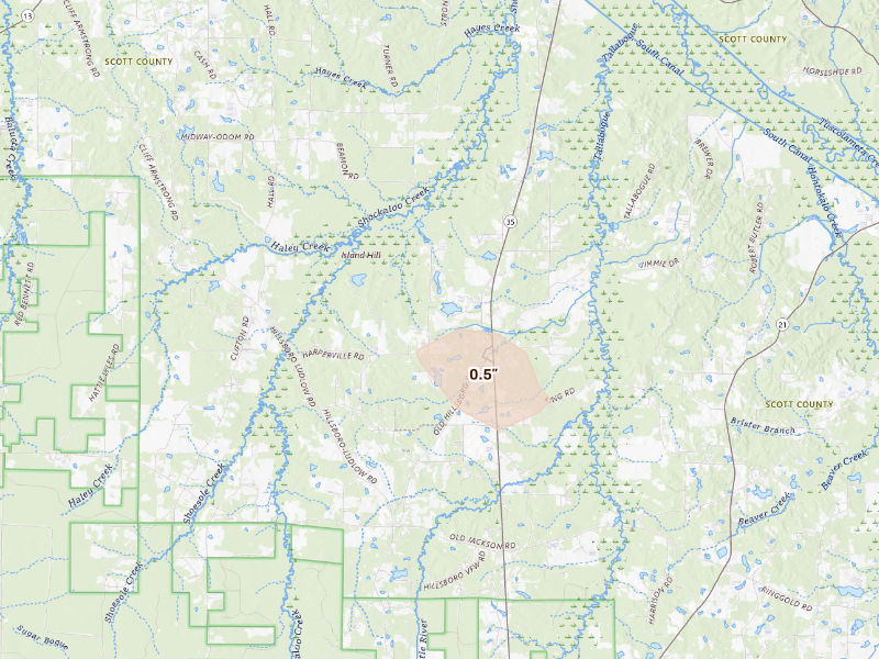 Radar-estimated hail-size map of the storm over Forest, MS