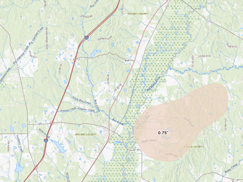 Radar-estimated hail-size map of the storm over Goodman, MS