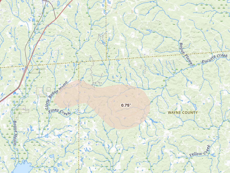 Radar-estimated hail-size map of the storm over Heidelberg, MS