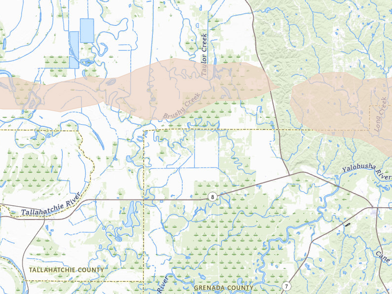 Radar-estimated hail-size map of the storm over Holcomb, MS