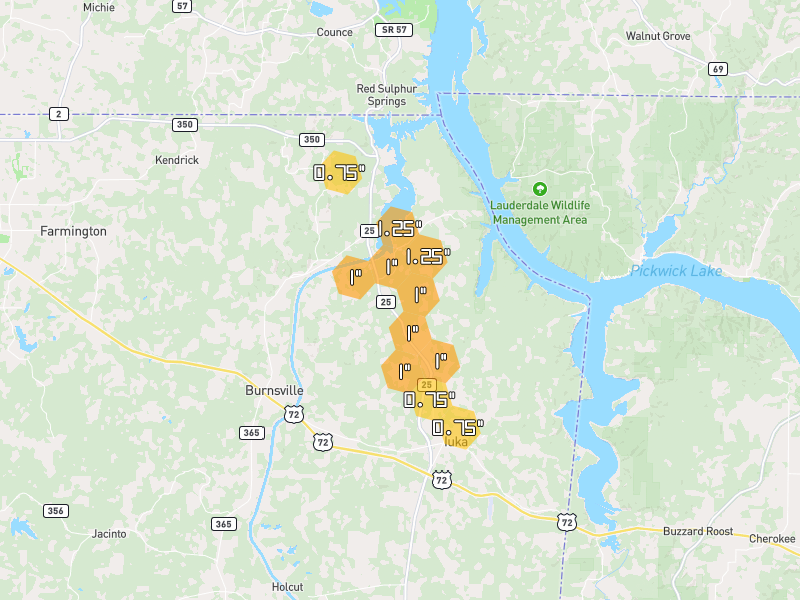 Hail map of Iuka, MS on Jul 3, 2026, hail up to 1.25"