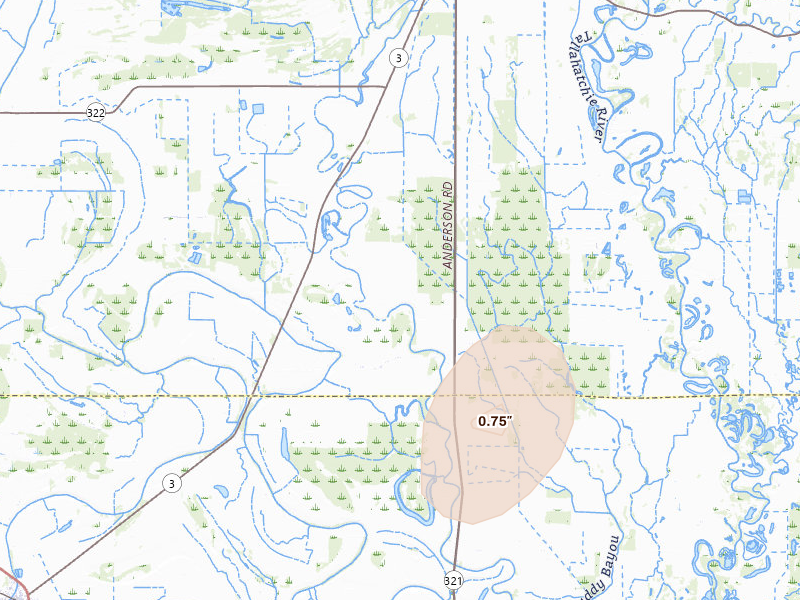 Radar-estimated hail-size map of the storm over Lambert, MS on Aug 10, 2026