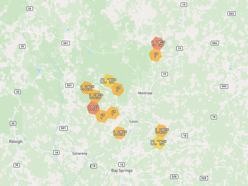 Hail map of Louin, MS on Jun 2, 2026, hail up to 1.75"