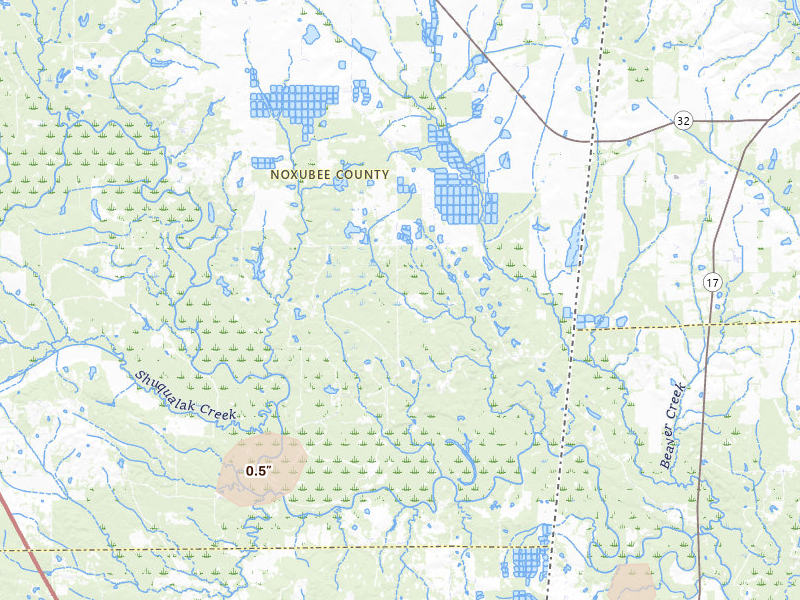 Radar-estimated hail-size map of the storm over Macon, MS