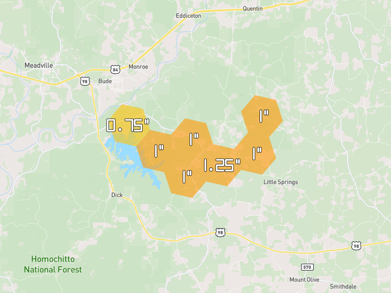 Hail map of Meadville, MS on Jun 1, 2026, hail up to 1.25"