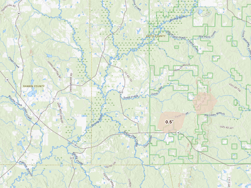 Radar-estimated hail-size map of the storm over Morton, MS