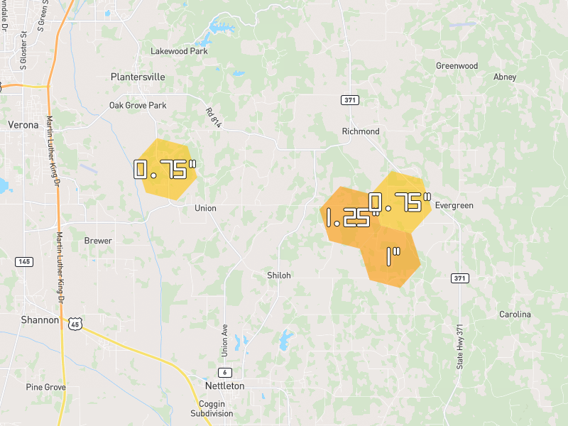 Hail map of Nettleton, MS on Jun 1, 2026, hail up to 1.25"