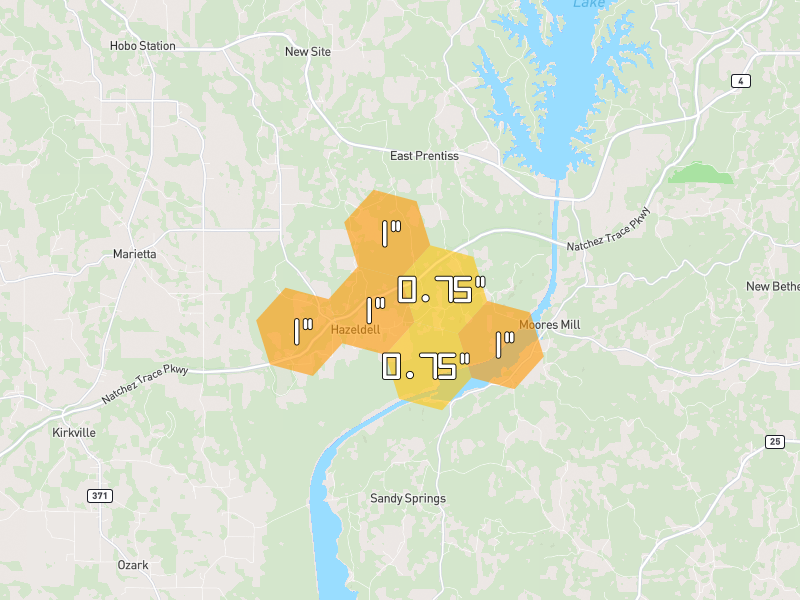 Hail map of New Site, MS on Jul 1, 2026, hail up to 1"