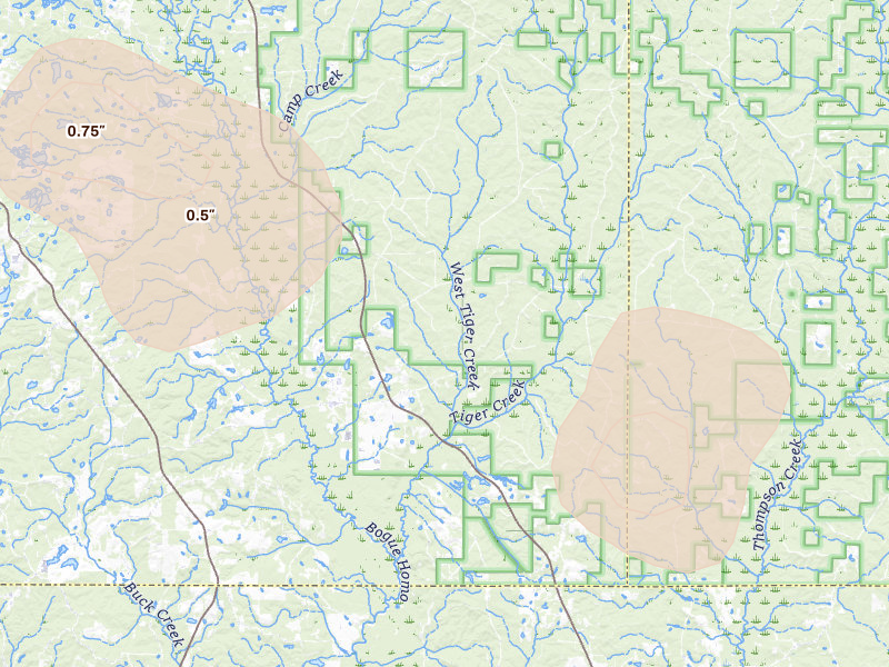 Radar-estimated hail-size map of the storm over Ovett, MS on Jun 19, 2026