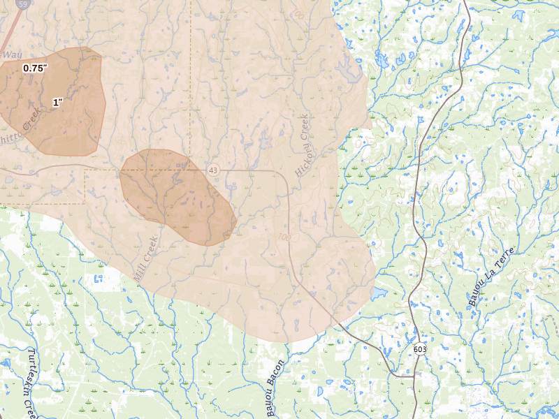Radar-estimated hail-size map of the storm over Picayune, MS on Apr 29, 2026