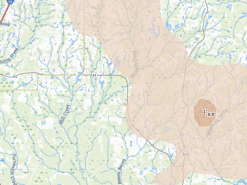 Radar-estimated hail-size map of the storm over Picayune, MS on May 9, 2026