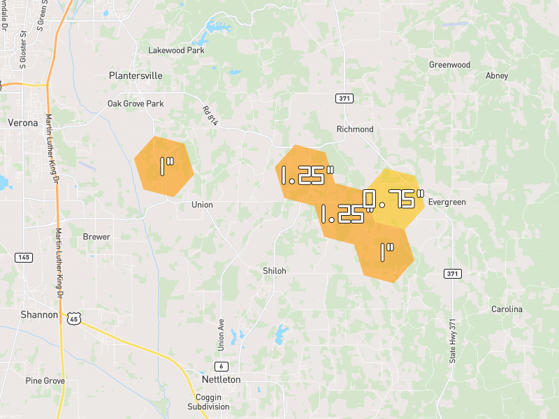 Hail map of Plantersville, MS on Jun 1, 2026, hail up to 1.25"